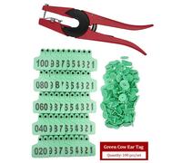 The First Signs Of Insanity: Their Prevention And Treatment