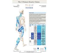 The Five Primary Kinetic Chains Anatomy Poster Set