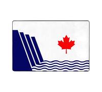 The Flag of Scarborough Paillasson antidérapant pour entrée Tapis de sol antidérapant avec coussin en mousse à mémoire de forme