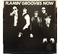 The Flamin' Groovies - Now