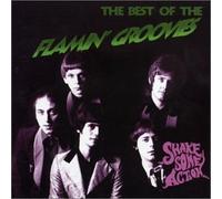 The Flamin Groovies - Shake Some Action