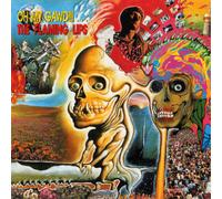 The Flaming Lips Oh My Gawd (Vinyl) 12" Album