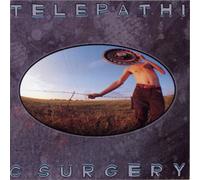 The Flaming Lips Telepathic Surgery (Vinyl) 12" Album