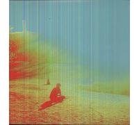 The Flaming Lips – The Terror – Vinyle