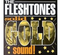The Fleshtones - Solid Gold Sound !
