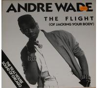 The Flight (Of Jacking Your Body)