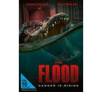 The Flood