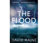 The Flood David Maine David Maine (Auteur)