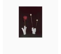 The Flower and the Vessel