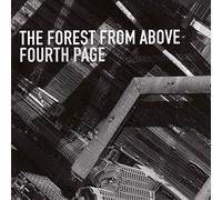 The Forest from Above