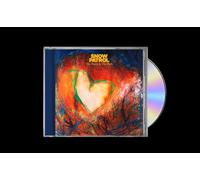 The Forest Is The Path