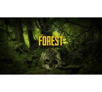 The Forest (PC)