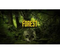The Forest (Steam Account)