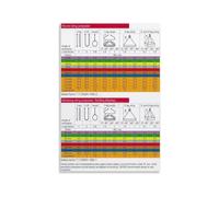 The Foundational Load Chart Sling Rigging Principles Poster for Engineering Libraries Technical Schools Mastery Series(Unframed,08x12inch(20x30cm))