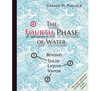 The Fourth Phase of Water: Beyond Solid, Liquid, and Vapor