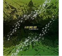 The Fourth Plague: Flies