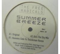 The Free Radicals - Summer Breeze
