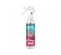 The Fruit Company Désodorisant Spray Multifonctions Pastèque 250ml