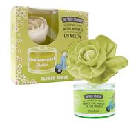 The Fruit Company Fleur parfumée Melón Flower Power 0 % alcool 50 ml Durée + 30 jours