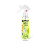 The Fruit Company - Spray désodorisant liquide Melon - 250 ml