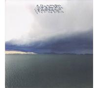 Modest Mouse – The Fruit That Ate Itself – Vinyle LP Import