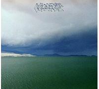 The Fruit That Ate Itself by Modest Mouse [Audio CD] NEUF