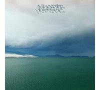 The Fruit That Ate Itself by Modest Mouse [VINYL] NEUF