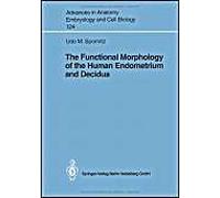 The Functional Morphology Of The Human Endometrium And Decidua
