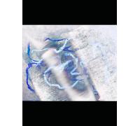 The Fundamental Structure of Number From the Perspective of Holism: Through the Mirror of Dualism