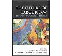 The Future Of Labour Law: Liber Amicorum Bob Hepple Qc