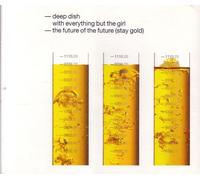 The Future Of The Future (Stay Gold) (3-Mixes - Import U.K.)