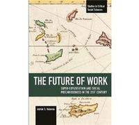 The Future Of Work: Super-exploitation And Social Precariousness In The 21st Century Adrian Sotelo Valencia (Auteur)