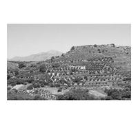The Galatas Survey: The Socio-Economic And Political Development Of A Contested Territory In Central Crete During The Neolithic To Ottoman