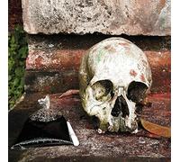 Walking Warriors : Gamelan Beleganjur and Music of The Ngaben Funerary Ritual in Bali