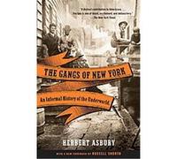 The Gangs of New York: An Informal History of the Underworld