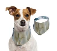 The Gaze Of A Polar Bear Bandana pour chien, doux, confortable, réglable pour garçons et filles, trois tailles pour chats et chiens