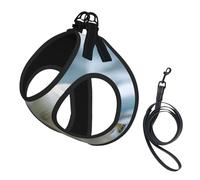 The Gaze Of A Polar Bear Harnais pour chien - Respirant, réfléchissant et réglable, adapté pour les petits chats et chiens