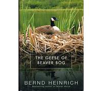 The Geese of Beaver Bog