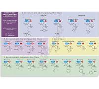 The Genetic Code Wall Art Complete Amino Acid Chart Biology Reference Print for Home Office Library Decor Science Aesthetic(Framed,16x24inch(40x60cm))