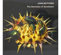 The Geometry of Sentiment