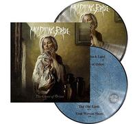 The Ghost Of Orion - Édition Double Vinyles Picture Disc - Double Vinyle