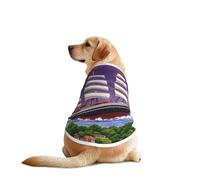 The Giant Wheel Under Lightning Chemise pour chien de grande et moyenne taille - T-shirt en maille respirante pour animal domestique, parfait pour un usage quotidien et des occasions spéciales