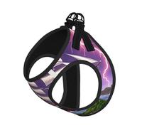 The Giant Wheel Under Lightning Harnais pour chien avec sangles réfléchissantes et boucles à dégagement rapide Convient aux petits chats et chiens