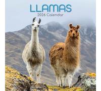 The Gifted Stationary Calendrier mural carré 2026, lamas, calendrier à suspendre sur le thème des animaux avec 180 autocollants de rappel, planificateur mensuel pour la maison, espaces créatifs, 30,5