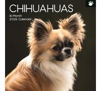 The Gifted Stationary Calendrier mural carré 2026, motif chihuahuas, 16 mois sur le thème des empreintes de pattes avec 180 autocollants de rappel, planificateur mensuel pour la maison ou les espaces