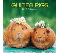 The Gifted Stationary Calendrier mural carré 2026, motif cochons d'Inde, calendrier à suspendre sur le thème des animaux avec 180 autocollants de rappel, planificateur mensuel pour la maison ou les