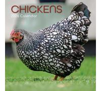 The Gifted Stationary Calendrier mural carré 2026, motif poulets, calendrier à suspendre sur le thème des animaux avec 180 autocollants de rappel, planificateur mensuel pour la maison ou les espaces