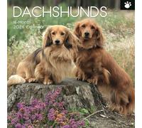 The Gifted Stationary Calendrier mural carré 2026, motif teckel, calendrier à suspendre sur le thème des empreintes de pattes avec 180 autocollants de rappel, planificateur mensuel pour la maison ou