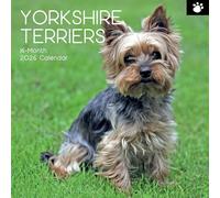 The Gifted Stationary Calendrier mural carré 2026, Yorkshire Terriers, calendrier à suspendre sur le thème des animaux avec 180 autocollants de rappel, planificateur mensuel pour la maison ou les