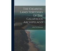 The Gigantic Land Tortoises Of The Galapagos Archipelago
